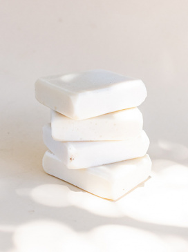 Aliquam rhoncus tristique commodo