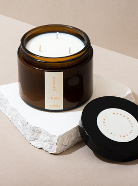 Etiam vel feugiat odio, sit amet maximus enim